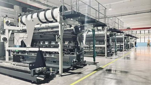 資陽(yáng)安岳 先進(jìn)設(shè)備強(qiáng)勢(shì)賦能 鞋服產(chǎn)業(yè)鏈再延伸